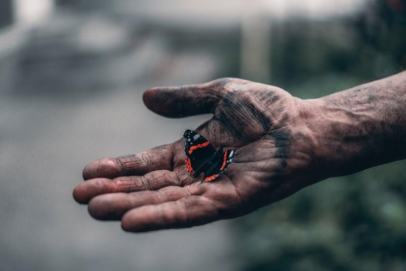 Butterfly in a dirty hand